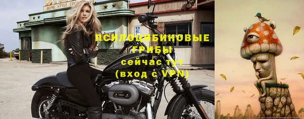 амф Нефтекумск