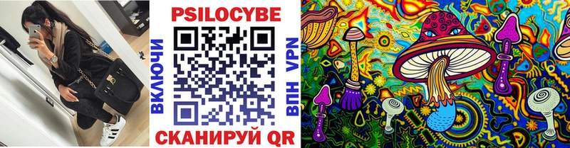 mega ТОР Велиж сайты даркнета какой сайт купить закладку Галлюциногенные грибы Magic Shrooms