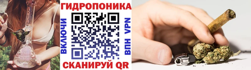 купить   Велиж  Каннабис сатива 